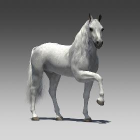 Rigged and Animated Horse